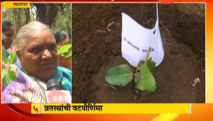 Satara Womens Planted Tree On Vat Purnima