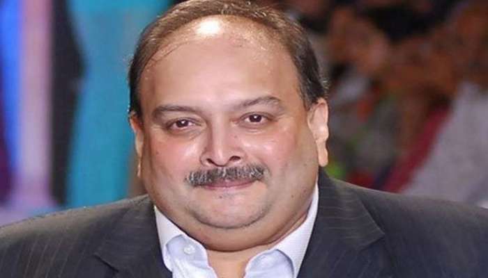 'मी पळालो नसून....' मेहुल चोक्सीचा प्रतिज्ञापत्रातून खुलासा 
