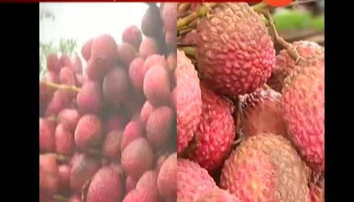 Bihar Childrens Death Is Linked To Litchi Toxin