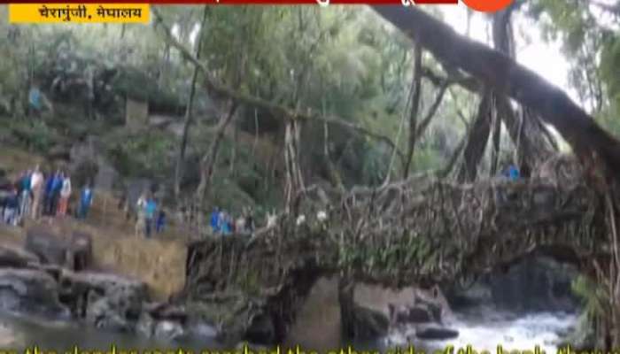  Meghalaya Bridge Made From Tree Roots