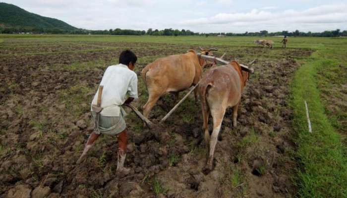 पावसाचं आगमन लांबल्याने मराठवाड्यात पेरण्या खोळंबल्या