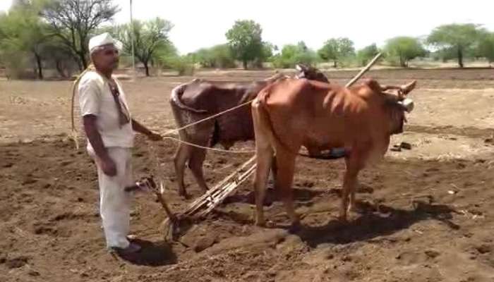 लातुरात पेरण्यांना सुरुवात, शेतकरी मोठ्या पावसाच्या प्रतिक्षेत