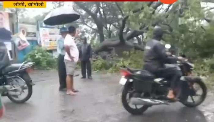 Railgad Khopoli To Karjat Railway Service Derailed For Tree Fall On Railway Track