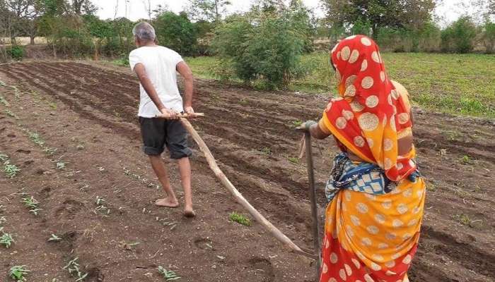 बैलाच्या जागी स्वत:ला जुंपले; शेतकऱ्याला शिवसेनेकडून मदत