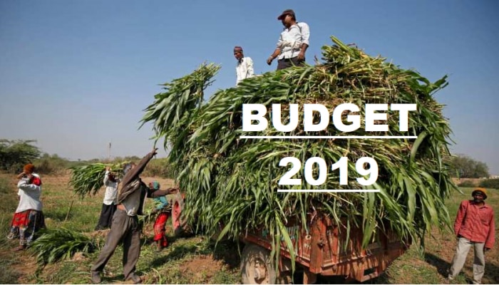 Budget 2019 : शेतकऱ्यांना मिळू शकते मोठी खूशखबर