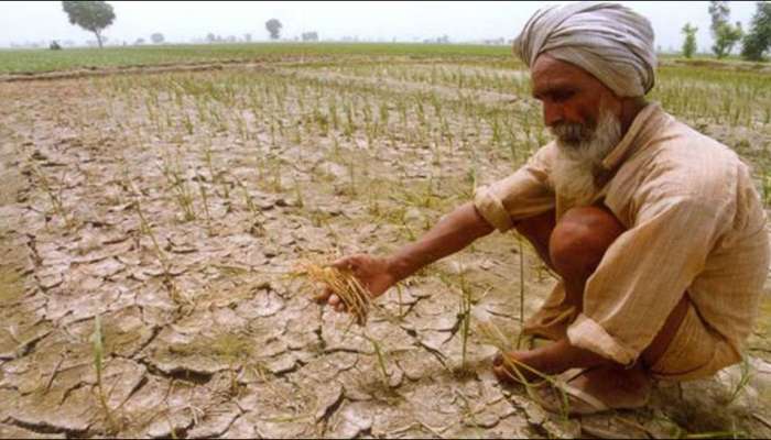 चांदवडमध्ये पावसाअभावी शेतकऱ्यांवर दुबार पेरणीचे संकट