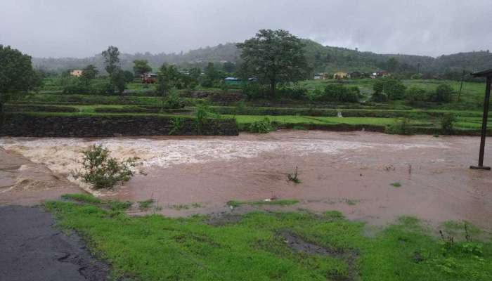 भिमाशंकरमध्ये शेतकरी ओढ्याच्या पाण्यात गेला वाहून