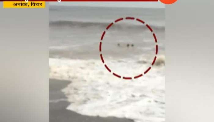 Virar Arnala Beach Tourist Life Endanger As No Security And Life Gaurd Present