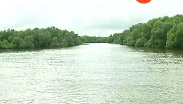 MANGROVES DAY SPECIAL STORY