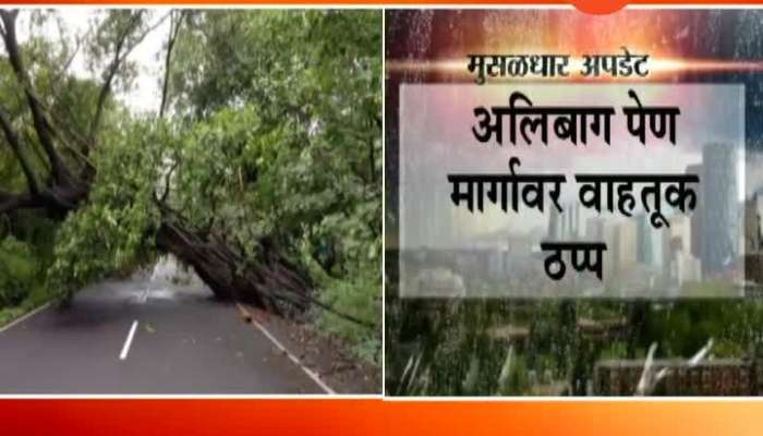  Raigad Alibaug Pen Tree Fall Transportation Affected