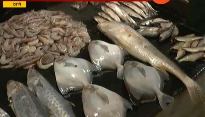 Thane Fish Getting Expensive On Gatari