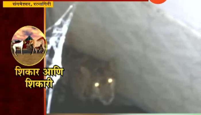 Ratnagiri Sangameshwar Leopard And Dog Togeather How It Happened
