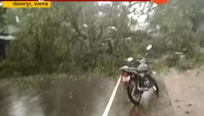 Raigad Poladpur Big Tree Collapse At Mumbai Goa Highway Route Closed For Traffic