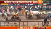 संगमेश्वरात नांगरणी स्पर्धेदरम्यान बैल उधळले 
