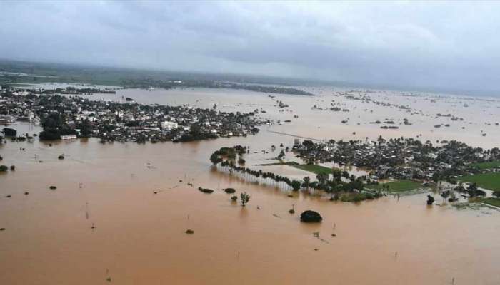 सांगली आणि कोल्हापुरात रस्त्यांवर प्राण्यांच्या मृतदेहांचे खच 