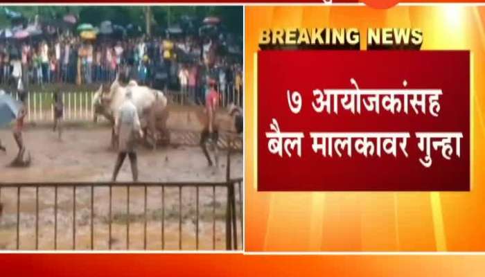 Ratnagiri | Seven Organiser With Bull Owners Booked In Controversial Case