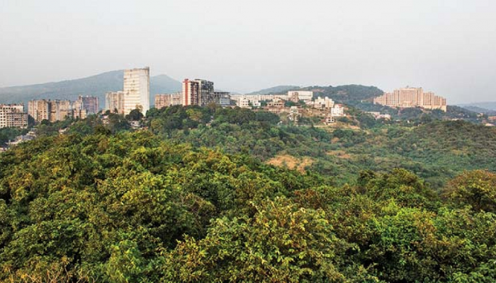 'मेट्रो ३'साठी २२३८ झाडे तोडण्याच्या पालिकेच्या निर्णयाला स्थगिती