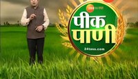 पीक पाणी । हिंगोली । ७२ तासानंतरही व्यापाऱ्यांचा माल मार्केटमध्येच