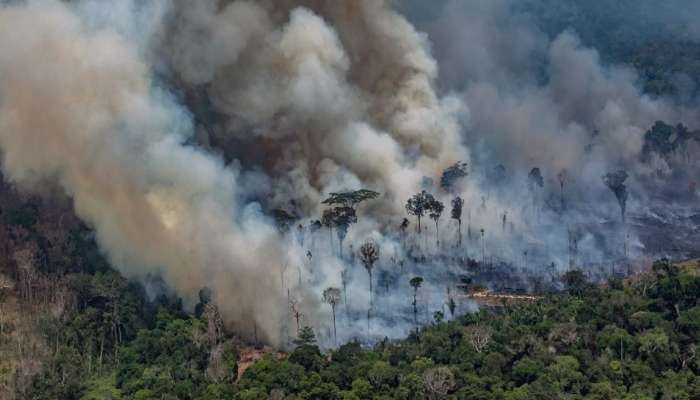 अॅमेझॉन आग : २० टक्के ऑक्सिजन देणाऱ्या खोऱ्यात कार्बन, नऊ देशांना धुराचा परिणाम 