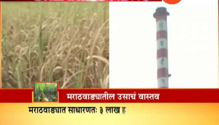 Ban On Water Intensive Sugarcane Cultivation In Marathwada
