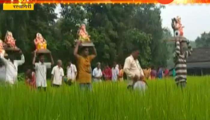 Ratnagiri People Taking Ganpati Bappa From Rice Farm