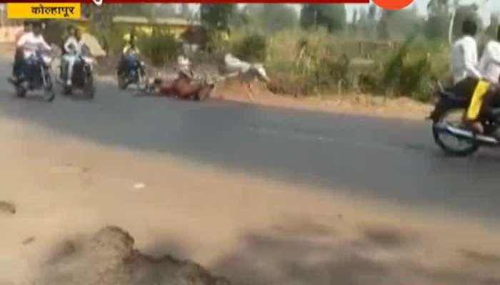 Kolhapur Controversial Horse Race And Accident