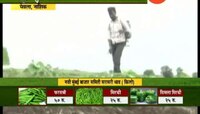 नाशिक | धुळगावमधील बळीराजाचा आगळा प्रयोग
