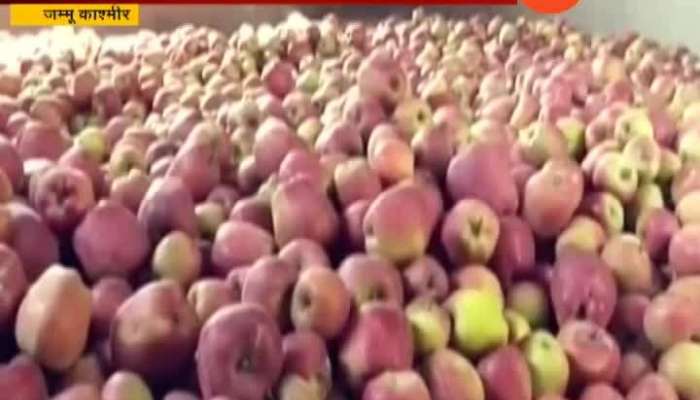 Jammu Kashmir Apple Season