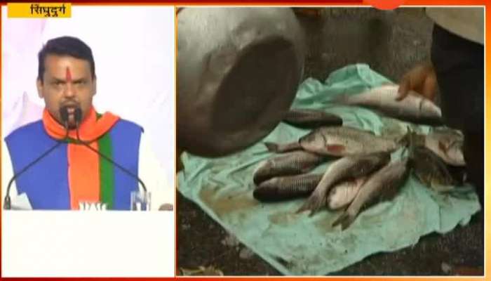 सिंधुदुर्ग | बंदीच्या काळातही मासेमारीला परवानगी द्यायचा विचार- मुख्यमंत्री सिंधुदुर्ग | बंदीच्या काळातही मासेमारीला परवानगी द्यायचा विचार- मुख्यमंत्री