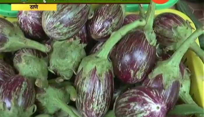 Thane Rate Of Vegetables High In September Month
