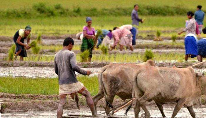 पश्चिम महाराष्ट्रासहीत रायगडात मुसळधार, अनेक रस्ते पाण्यात