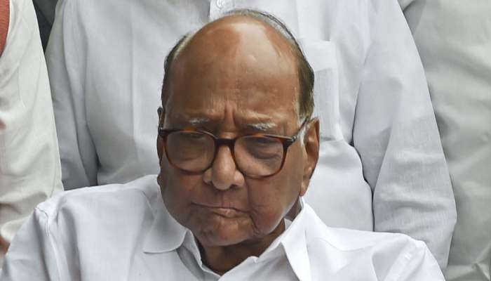'कधी यायचं ते पवार ठरवू शकत नाहीत'; ईडीची कठोर भूमिका