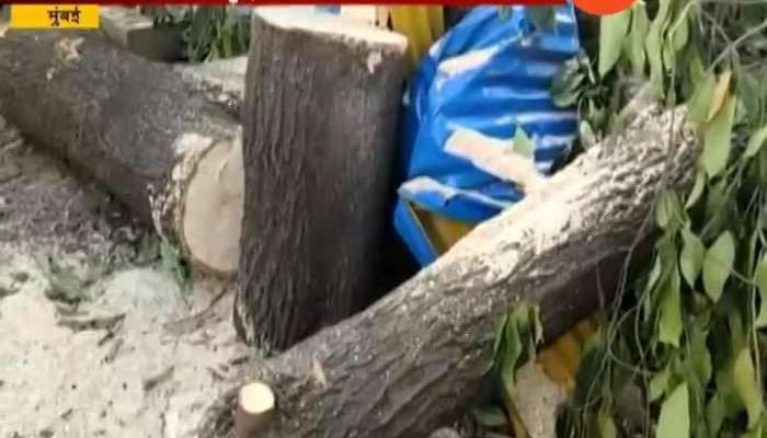 Mumbai Aditya Thackeray Rection Aarey Night cutting Trees