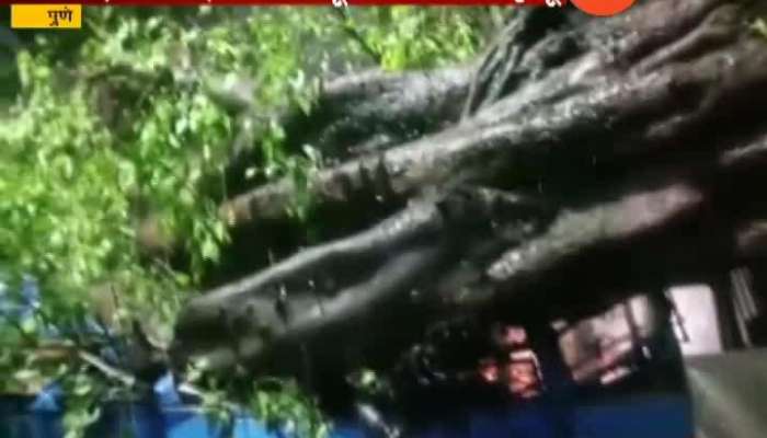 Pune PMT Driver Died As Tree Falls On The Bus