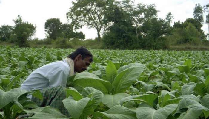 परतीच्या पावसाचा नाशिक जिल्ह्यातील गावांना तडाखा