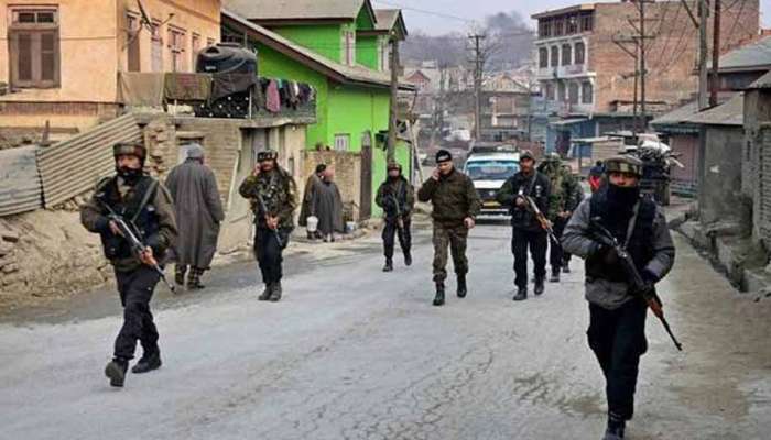 जम्मू-काश्मीरमध्ये दहशतवाद्यांकडून ग्रेनेड हल्ला; ५ जखमी