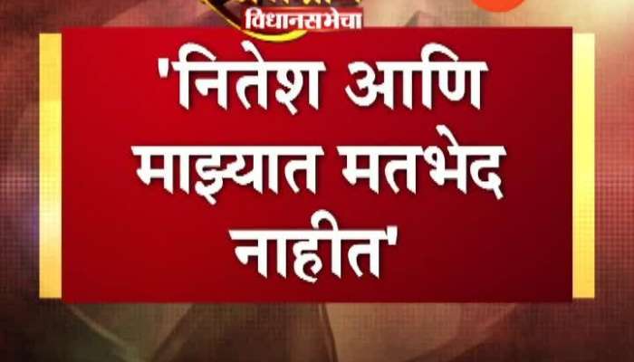 Assembly Election 2019 : Nilesh Rane Commentted on Nitesh Rane Statement