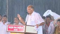 विधानसभा निवडणुकीच्या प्रचारातील शरद पवारांची गाजलेली भाषण 