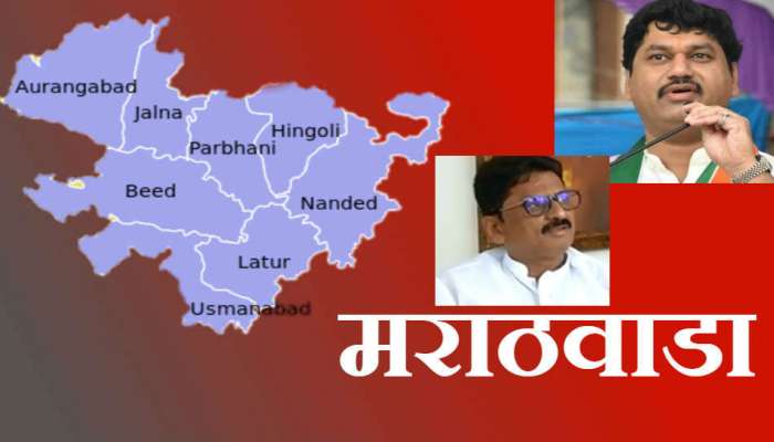 निकाल महाराष्ट्राचा : मराठवाड्यात &#039;या&#039; उमेदवारांनी मारली बाजी