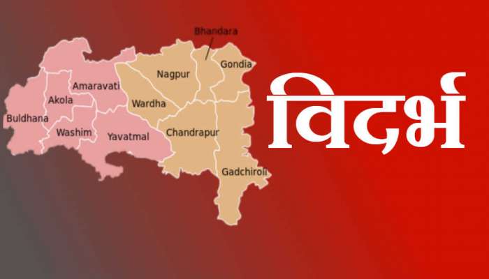निकाल महाराष्ट्राचा : विदर्भाच्या बालेकिल्ल्यात भाजपला धक्का