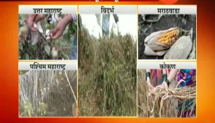 Retreating Monsoon affect farmer to all over Maharashtra 