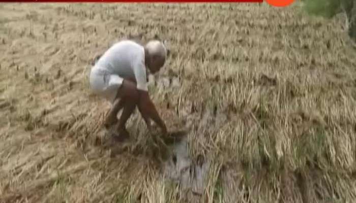 Marathwada Farmer Loss