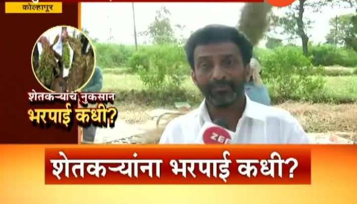 Kolhapur Farmer Loss