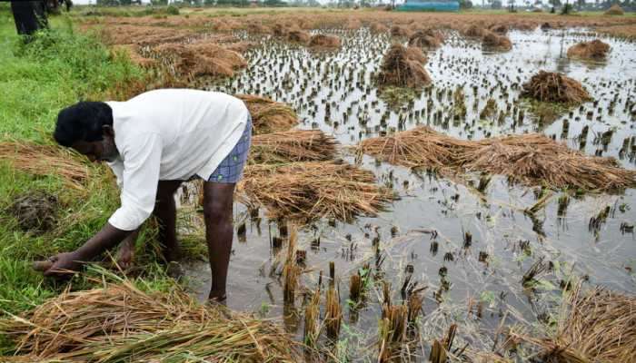ढगफुटी सदृश्य पाऊस झाल्याने शेती गेली वाहून, शेतकऱ्यांचे नुकसान