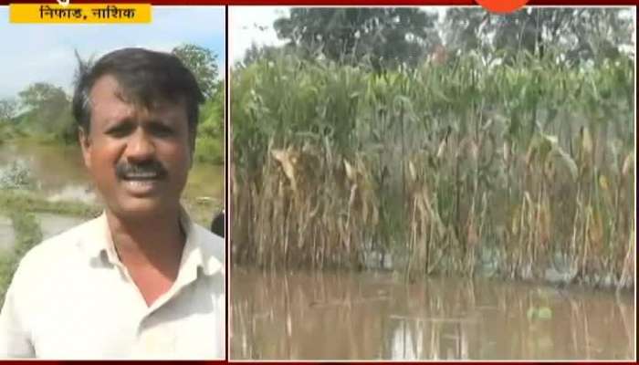 Nashik Nifad Farmers Reaction On Damage Caused From Heavy Rainfall