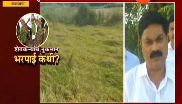Kalyan Gramin Farmer Reacts On Damage Of Rice Crop