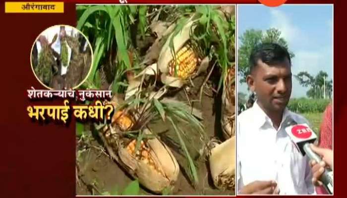 Aurangabad Farmers Expectation From Uddhav Thackeray Vist For Damage Crops