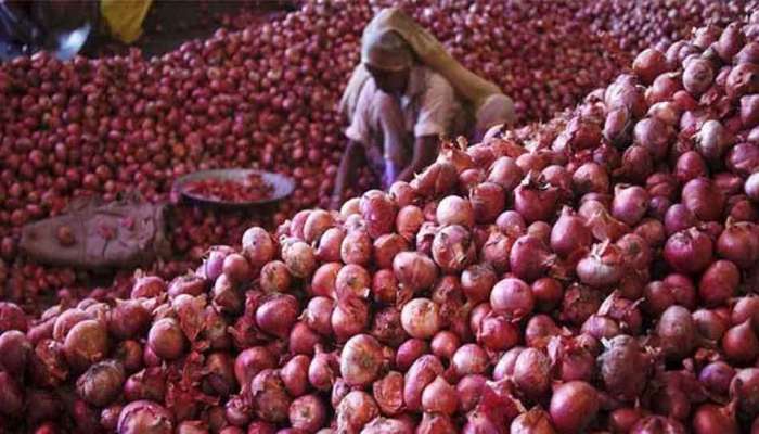 भारतात कांद्याच्या वाढत्या किंमती रोखण्यास या &#039;४&#039; देशांची मदत