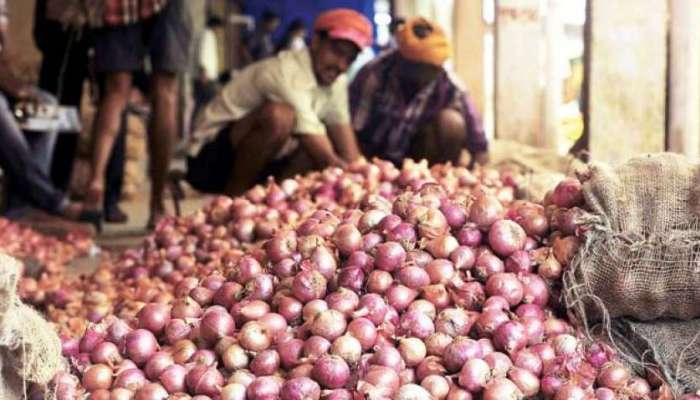 महाराष्ट्रातील कांद्यावरच संपूर्ण देशाची भिस्त