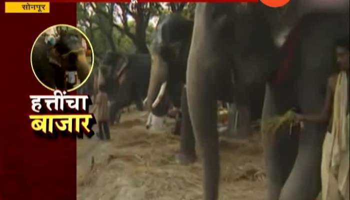 Bihar Asias biggest Elephant Market